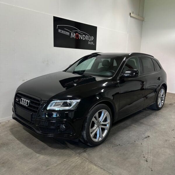 Audi SQ5 TDi 313 quattro Tiptr. 2015